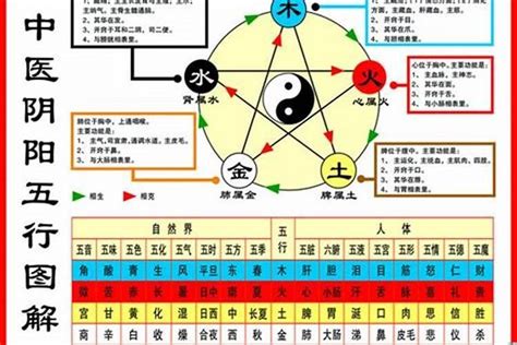 1984五行屬什麼|1984年屬鼠是什麼命？最全鼠命命相批註！